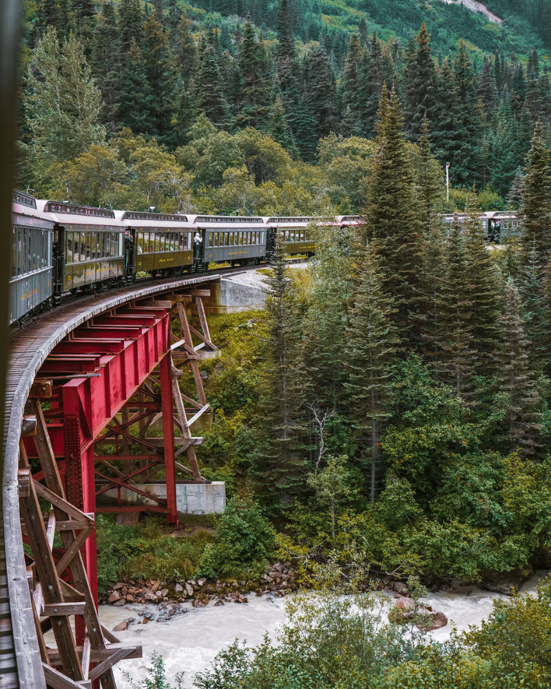 The Best Alaska Cruise Excursions Worth Booking! - Her Jolie Journey