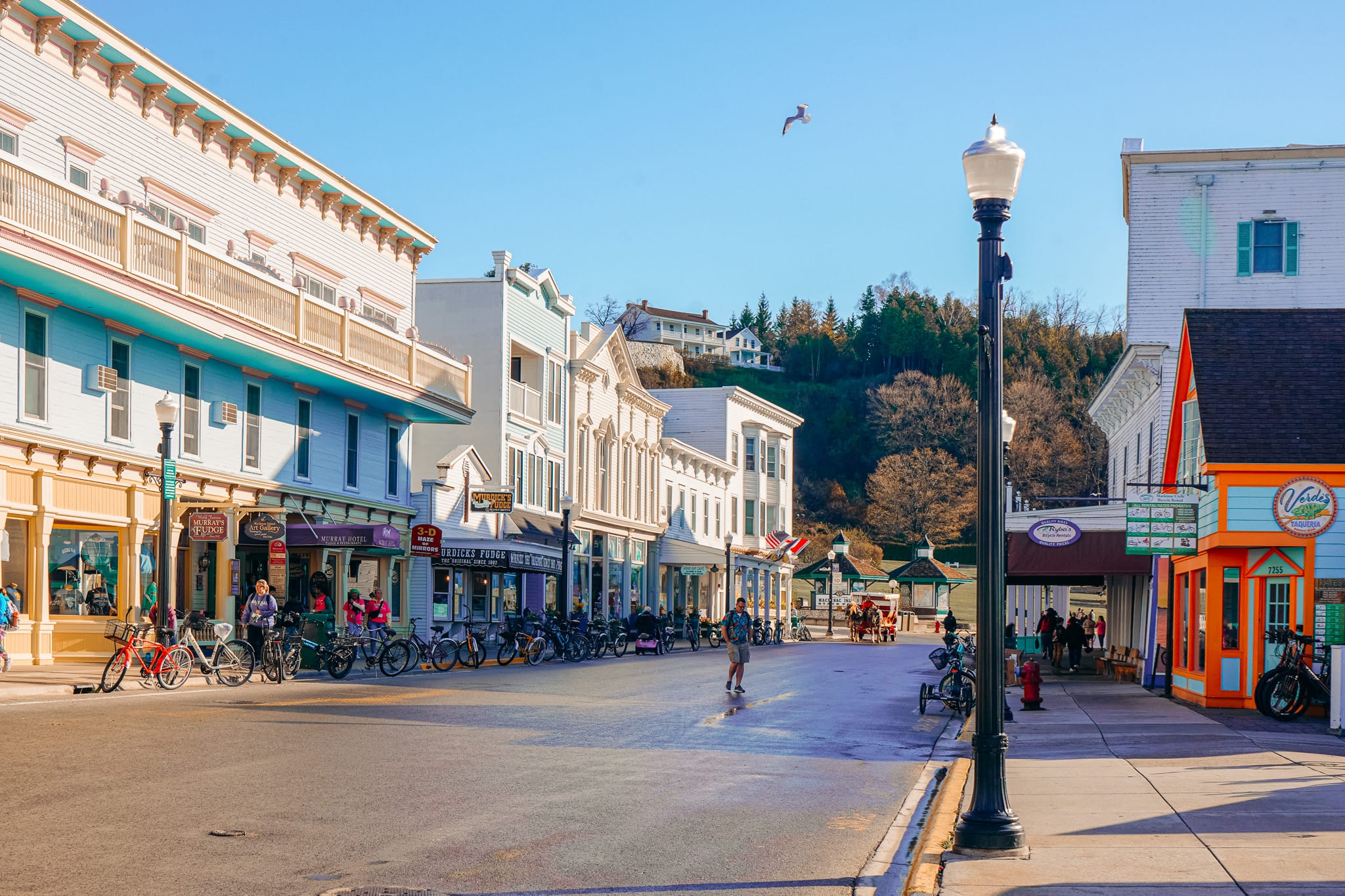 Mackinac Island Travel Guide for First Timers: Best Things to do on ...