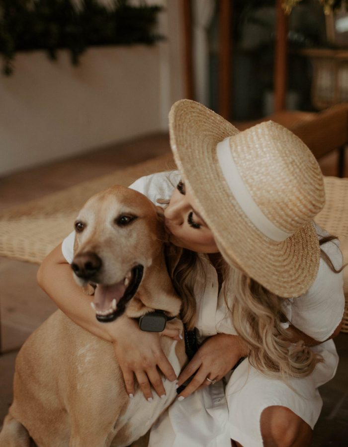 best dog friendly summer destinations